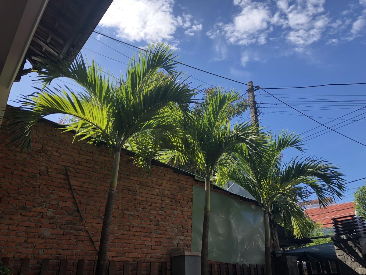 Three Palms Homestay Hoi An Exterior photo